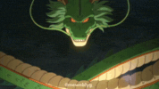 Battle Of Gods Dragon GIF