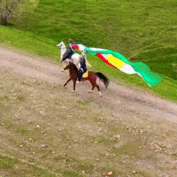 Horse Flag GIF