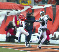 GIF by SB Nation