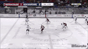 nh GIF