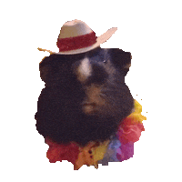 aaaaa STICKER by imoji