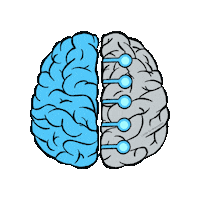 Brain Stem Sticker by Center for BrainHealth