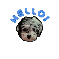 Atlas Dog Sticker