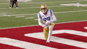 Ucla Football GIF by Pac-12 Network