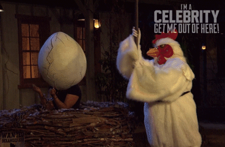 Im A Celebrity Au GIF by I'm A Celebrity... Get Me Out Of Here! Australia