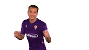 Serie A Soccer Sticker by ACF Fiorentina