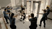 Beard What GIF by Show TV