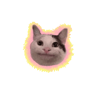 soymarpony happy cat fun meme Sticker