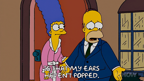 Episode 1 GIF by The Simpsons