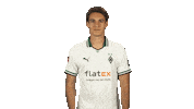 Borussia Monchengladbach Arms Sticker by Bundesliga