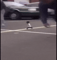 Man Man Running GIF