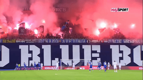 ZonaDinamo giphyupload GIF