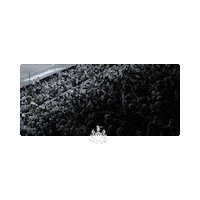 Newcastle United Sticker by Newcastle United Football Club