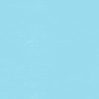 Vote Early Election 2020 GIF by INTO ACTION