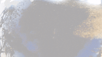 A Sand Portrait (2015)