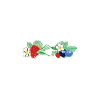 Twosomeplaceofficial twosome twosomeplace 투썸 투썸플레이스 Sticker