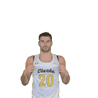 Mens Basketball Sticker by Clarke University
