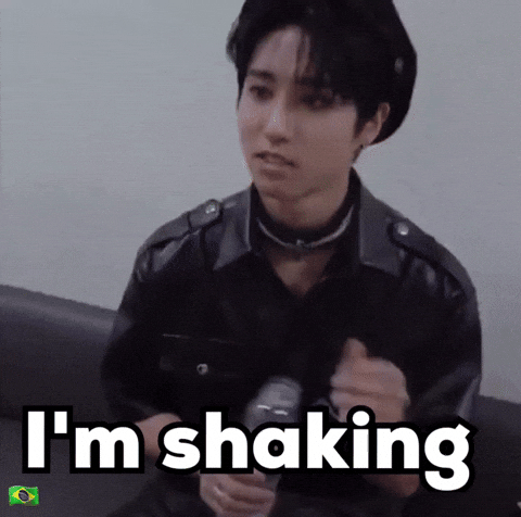 Stray Kids Skz GIF
