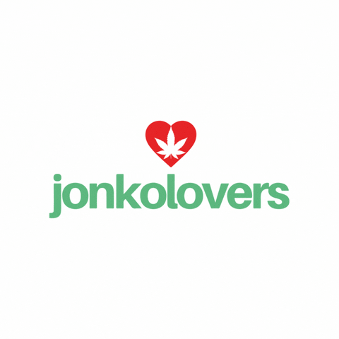 JonkoLovers giphyupload 420 fourtwenty jonko GIF