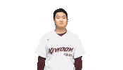Celebrating Sticker by Kiwoom Heroes Baseball Club