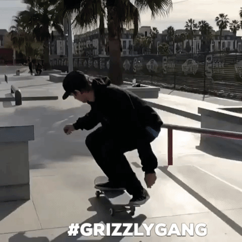 sierra fellers skateboarding GIF by Torey Pudwill