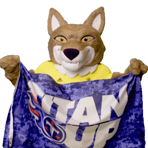Flag Mascot Sticker by Nashville SC