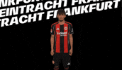 Come On Bundesliga GIF by Eintracht Frankfurt