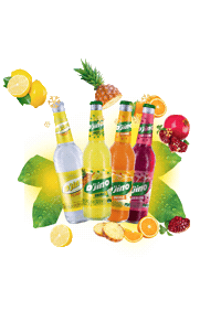 Brasimba beer chill simba biere Sticker