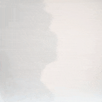 Sarodorick Thompson GIF by Texas Tech Football