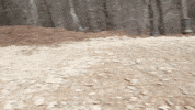Grading John Deere GIF by JC Property Professionals
