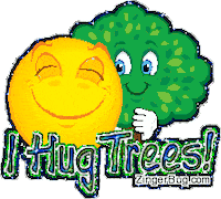 trees Sticker