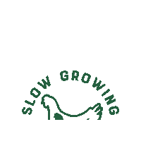 sicin-sasta ireland free range sicin sasta Sticker