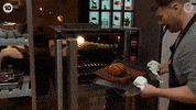 Matt GIF by MasterChefAU