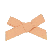 Theitsybitsybowco bow georgia peach monogram Sticker