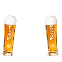 Beer Zum Wohl Sticker by Privatbrauerei Barre