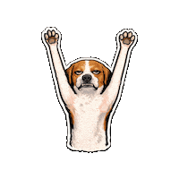 Dance Party Sticker by abana a cauda