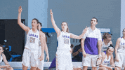 Goduhawks Duhawkathletics GIF by Loras College