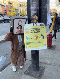 GIF by Alex Boya
