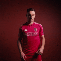 Stl GIF by St. Louis CITY SC