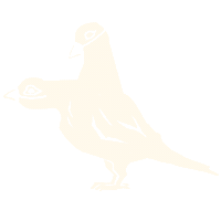 Pigeon Masks Sticker by Virtue Worldwide