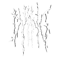 Brutal Death Metal Sticker by Dying