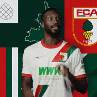 Football Bundesliga GIF by FC Augsburg 1907
