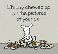 chippythedog chippythedog breakup broken heart ex boyfriend GIF