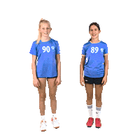 Handball Slovenia Sticker by RK Krim