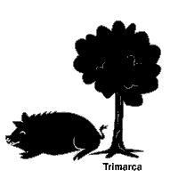 TrimarcaAG pig schwein piglove thinkpig Sticker