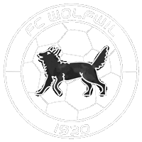 Switzerland Fussballclub Sticker