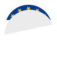European Union Vote Sticker by Roland Zeiner