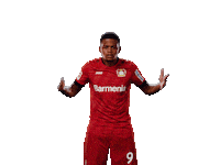 Lets Go Bailey Sticker by Bayer 04 Leverkusen