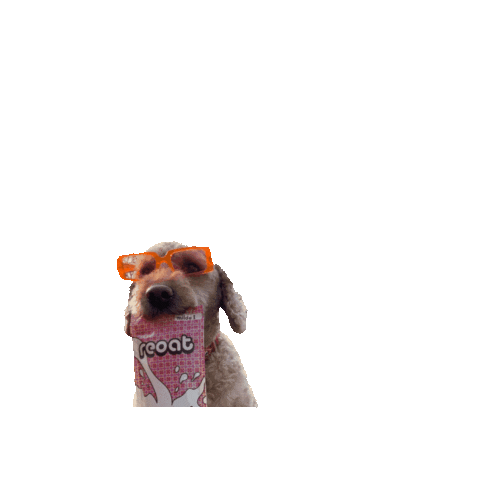 reoat dog vegan pulver haferdrink Sticker
