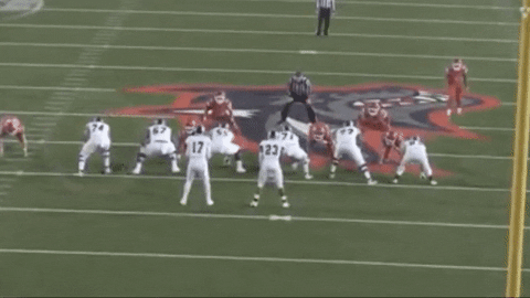 sletizia14 giphyupload GIF